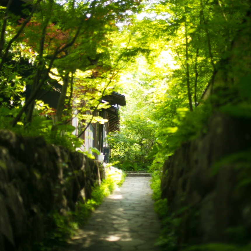敷地内道